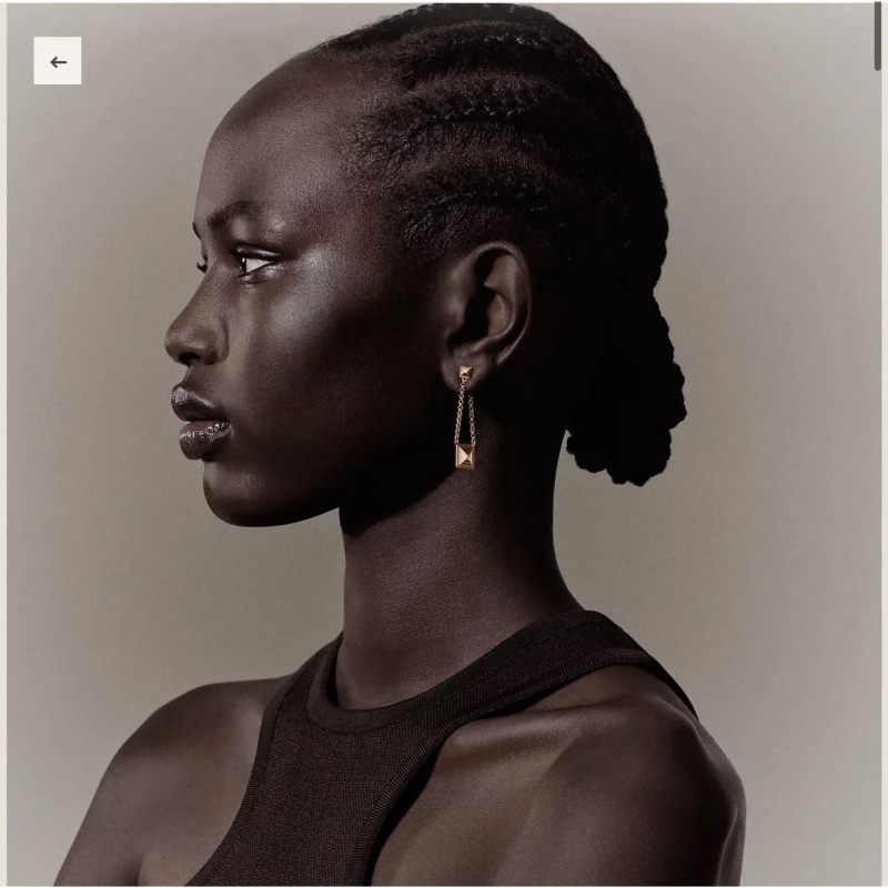 H**me5 earrings